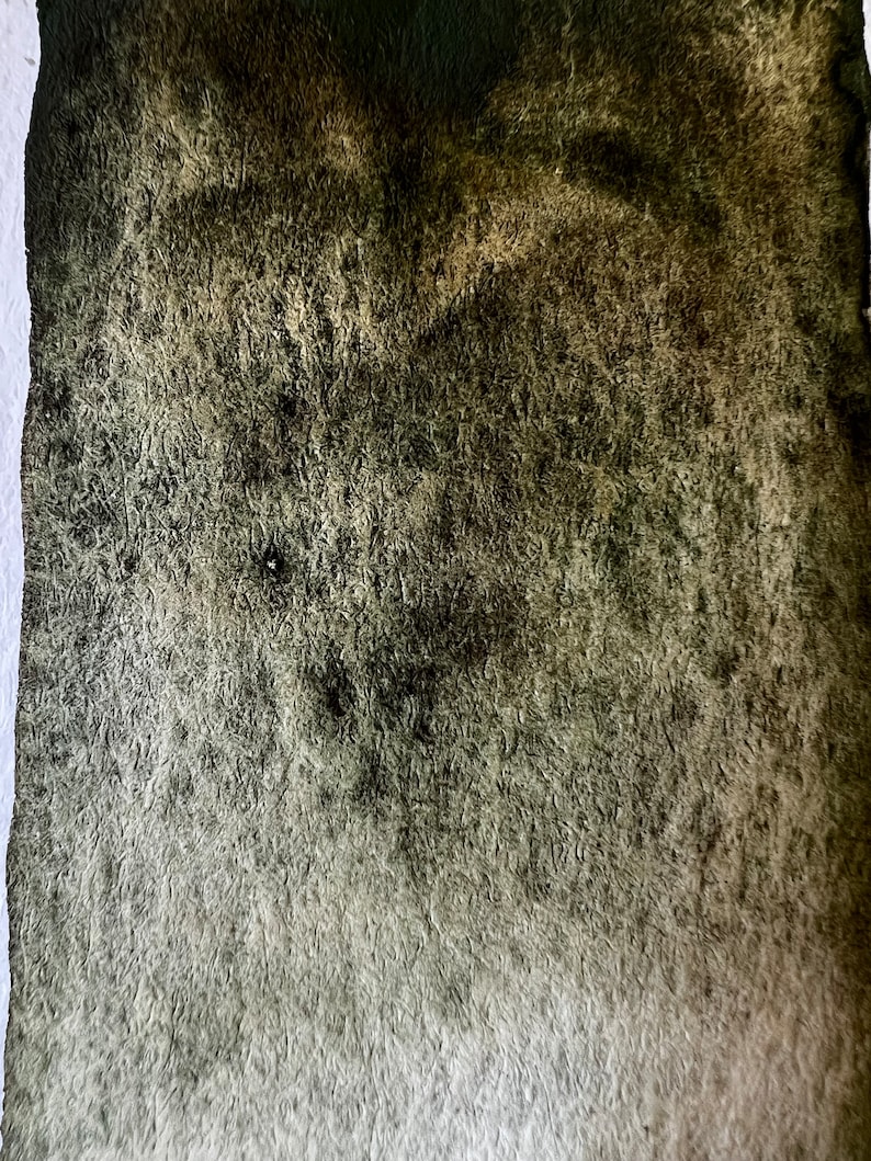 May include: A dark green watercolor wash on textured paper. The wash is darker in the center and fades to a lighter green at the edges.