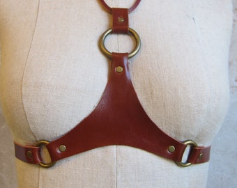May include: A brown leather harness with brass rings and studs. The harness is designed to be worn over the chest.