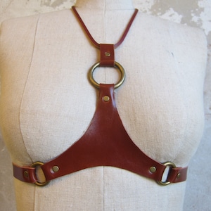 May include: A brown leather harness with brass rings and studs. The harness is designed to be worn over the chest.