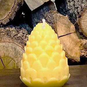 Organic Beeswax Pine Cone Candle