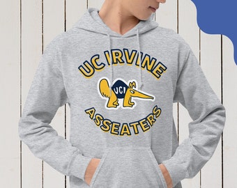 Men's Gold UC Irvine Anteaters Holiday Pullover Sweatshirt