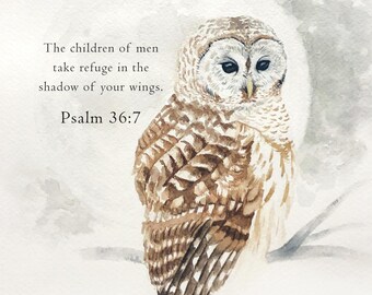 Scripture Owl 8X10
