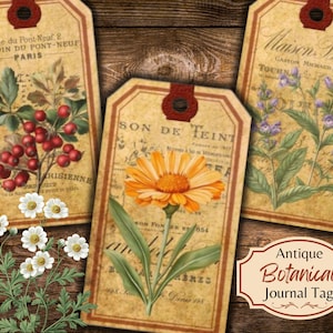 Etiquetas de diário de presente botânico antigo - itens efêmeros para impressão - suprimentos para diário - imagens florais - encartes - JPG - uso comercial físico gratuito