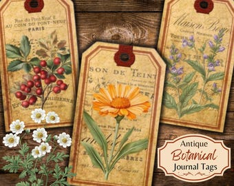 Antique Peony Gift Tags: Printable Botanical Ephemera (JPG)