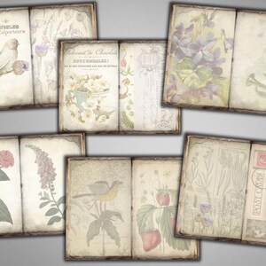 Puede incluir: Un conjunto de ocho p&aacute;ginas de papel de &aacute;lbum de recortes de estilo vintage con ilustraciones florales, p&aacute;jaros y texto. Las p&aacute;ginas son en tonos crema, marr&oacute;n y verde.