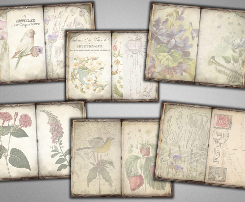 Puede incluir: Un conjunto de ocho p&aacute;ginas de papel de &aacute;lbum de recortes de estilo vintage con ilustraciones florales, p&aacute;jaros y texto. Las p&aacute;ginas son en tonos crema, marr&oacute;n y verde.