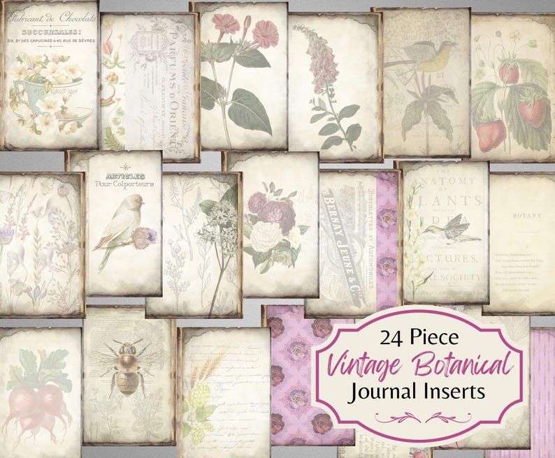 Puede incluir: Un conjunto de 24 insertos de diario bot&aacute;nicos vintage con ilustraciones florales, p&aacute;jaros e insectos. Los insertos est&aacute;n impresos en papel envejecido con un aspecto desgastado. El texto en los insertos incluye "Parfums Orien", "Anatomy Plants" y "Botany".