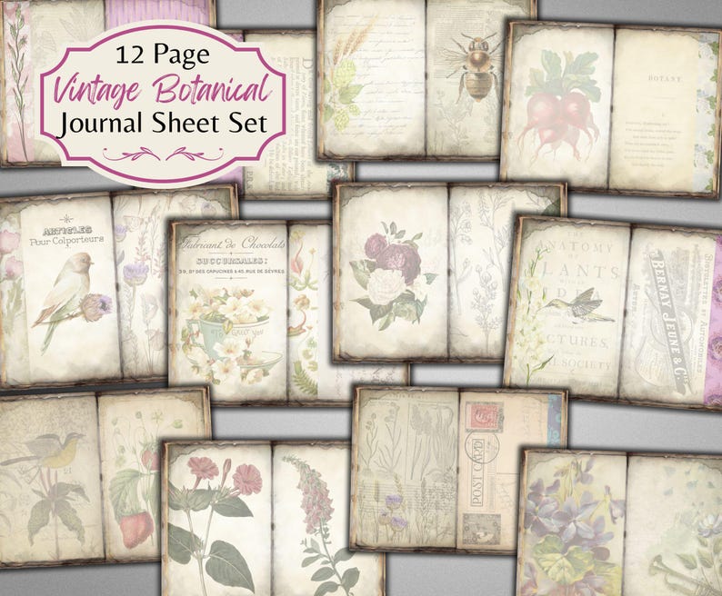 Puede incluir: Un conjunto de 12 p&aacute;ginas de diario bot&aacute;nico vintage con ilustraciones de flores, plantas e insectos. Las p&aacute;ginas est&aacute;n impresas en papel texturizado y tienen un aspecto desgastado. El texto en las p&aacute;ginas incluye "Arvanise Pour Colporteune", "Fabryant de Chocolate", "ATOMY PLANTS D" y "BERNAY JEUNE & C".
