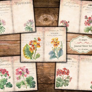 Puede incluir: Un conjunto de 22 p&aacute;ginas de diario imprimibles con ilustraciones florales vintage. Las p&aacute;ginas miden 28 cm x 20 cm y presentan una variedad de flores, incluyendo geranios, pr&iacute;mulas y otros dise&ntilde;os bot&aacute;nicos. Las p&aacute;ginas son perfectas para llevar un diario, hacer scrapbooking u otros proyectos creativos.