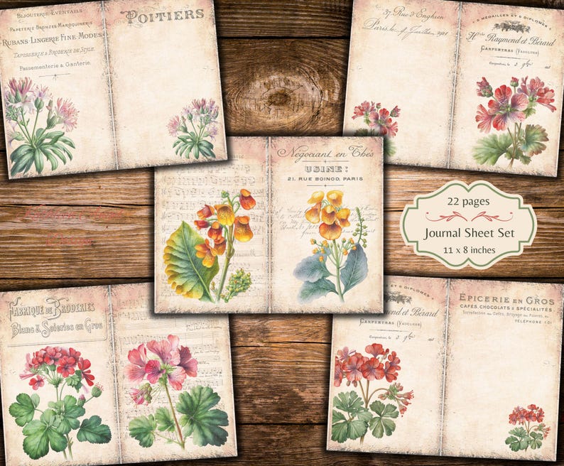 Puede incluir: Un conjunto de 22 p&aacute;ginas de diario imprimibles con ilustraciones florales vintage. Las p&aacute;ginas miden 28 cm x 20 cm y presentan una variedad de flores, incluyendo geranios, pr&iacute;mulas y otros dise&ntilde;os bot&aacute;nicos. Las p&aacute;ginas son perfectas para llevar un diario, hacer scrapbooking u otros proyectos creativos.