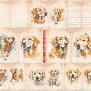 Pu&ograve; includere: Un collage digitale di dipinti ad acquerello con golden retriever in varie pose. Le immagini sono su uno sfondo di carta testurizzata con un effetto acquerello sottile.