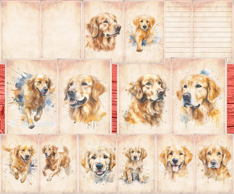 Pu&ograve; includere: Un collage digitale di dipinti ad acquerello con golden retriever in varie pose. Le immagini sono su uno sfondo di carta testurizzata con un effetto acquerello sottile.