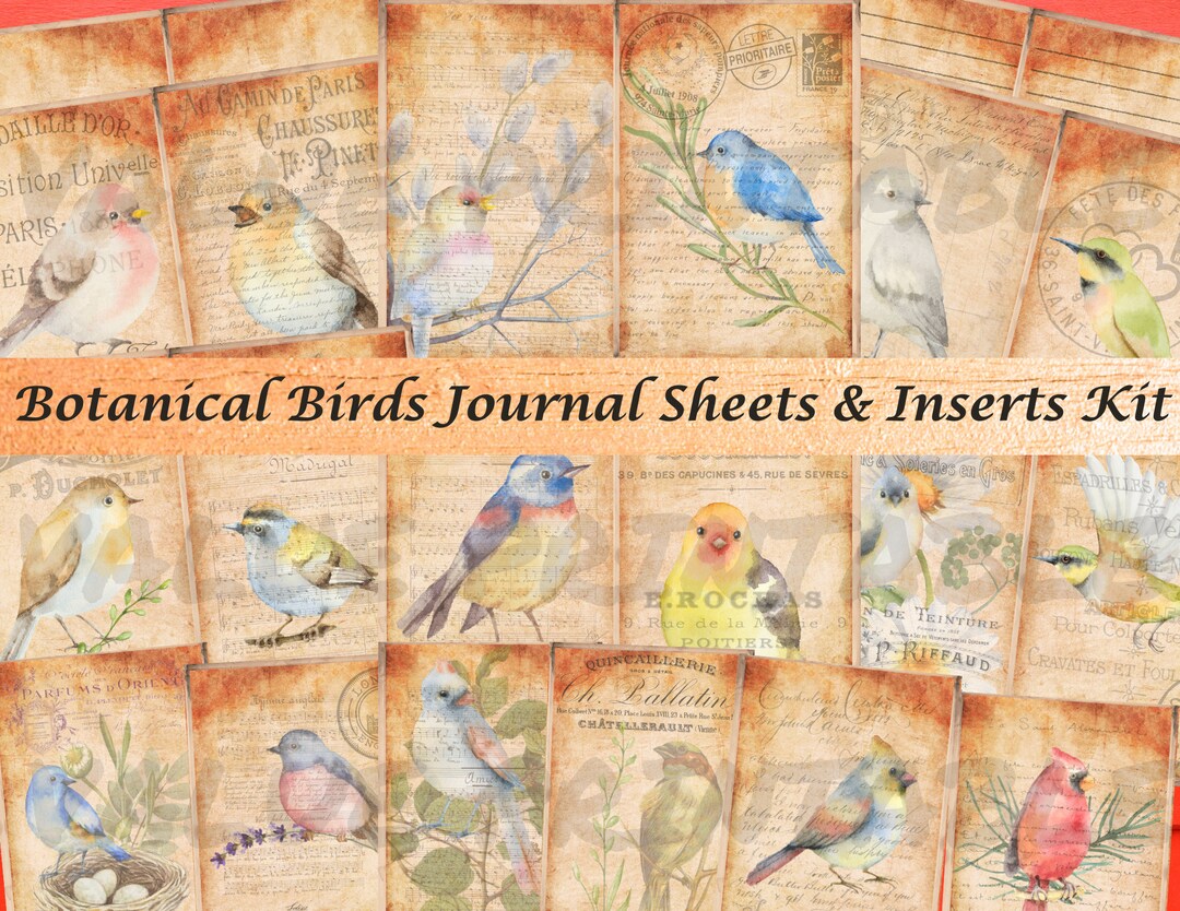 Vintage Botanical Birds Journal Sheet and Insert Kit - Printable ...