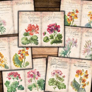 Puede incluir: Una colecci&oacute;n de ilustraciones bot&aacute;nicas vintage que representan diversas flores, incluyendo geranios, pr&iacute;mulas y otras flores. Las ilustraciones est&aacute;n impresas en papel envejecido con texto en franc&eacute;s e ingl&eacute;s.