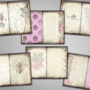 Puede incluir: Seis p&aacute;ginas de &aacute;lbum de recortes de estilo vintage con ilustraciones florales y bot&aacute;nicas. Las p&aacute;ginas est&aacute;n decoradas con texto, incluyendo "Anatom&iacute;a de las plantas" y "Bot&aacute;nica".