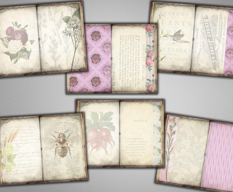 Puede incluir: Seis p&aacute;ginas de &aacute;lbum de recortes de estilo vintage con ilustraciones florales y bot&aacute;nicas. Las p&aacute;ginas est&aacute;n decoradas con texto, incluyendo "Anatom&iacute;a de las plantas" y "Bot&aacute;nica".