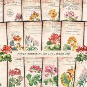 Puede incluir: Un conjunto de 36 insertos de diario imprimibles con ilustraciones florales vintage y texto franc&eacute;s. Las ilustraciones incluyen flores rosas, rojas y amarillas con hojas verdes. El texto incluye frases como "Epicerie Parisienne" y "Maison de la Belle Jar".