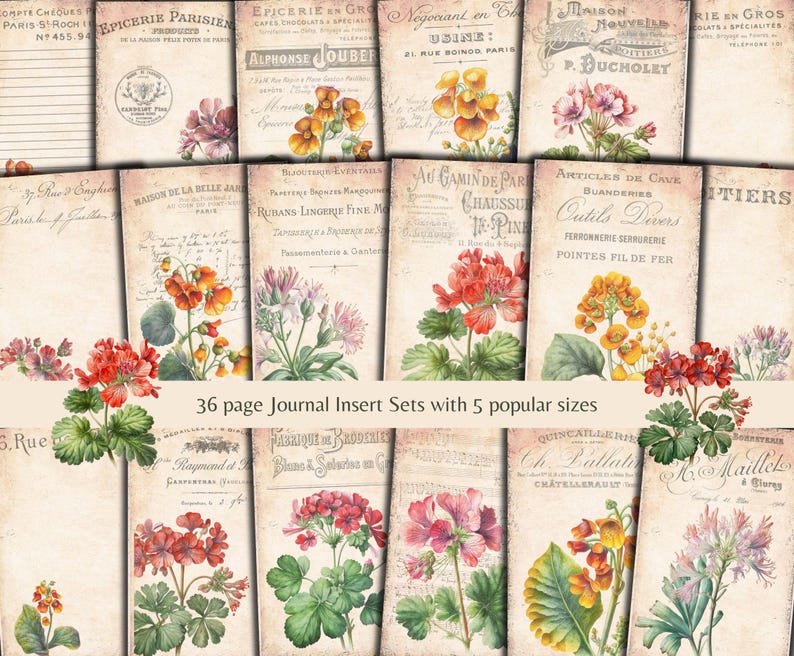 Puede incluir: Un conjunto de 36 insertos de diario imprimibles con ilustraciones florales vintage y texto franc&eacute;s. Las ilustraciones incluyen flores rosas, rojas y amarillas con hojas verdes. El texto incluye frases como "Epicerie Parisienne" y "Maison de la Belle Jar".