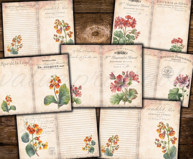Puede incluir: Un conjunto de p&aacute;ginas de diario imprimibles con ilustraciones florales vintage. Las p&aacute;ginas incluyen papel rayado, p&aacute;ginas en blanco y p&aacute;ginas con texto de antiguas tiendas francesas. Las flores son en tonos de rosa, rojo y naranja.