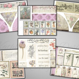 Puede incluir: Una hoja de collage digital con ilustraciones bot&aacute;nicas, patrones florales y texto que dice "passionate flower, be fearless, be an old chestnut, sow the seeds, anatomy of plants, BOTANY LOVER".