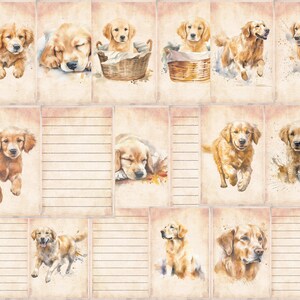 Pu&ograve; includere: Un foglio di collage digitale con 12 illustrazioni ad acquerello di cuccioli di golden retriever in varie pose. Le immagini sono su uno sfondo di carta vintage con righe.