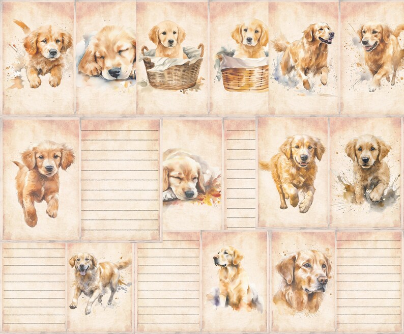 Pu&ograve; includere: Un foglio di collage digitale con 12 illustrazioni ad acquerello di cuccioli di golden retriever in varie pose. Le immagini sono su uno sfondo di carta vintage con righe.