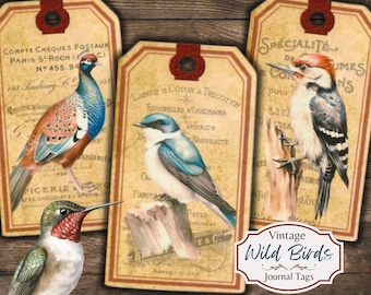 Vintage Wild Bird Journal Tags: Printable Ephemera (JPG)