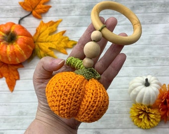 Pumpkin Rattle, Baby Photo Prop, Baby Announcement