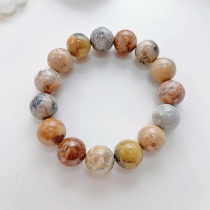 Natural Fossil Coral Bracelets, Rainbow Bracelet (Default fit 7inch/17.5mm, Size Customization Available)