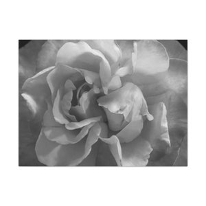 Double Hearted Rose in black and white by SAY Canvas Gallery Wrap