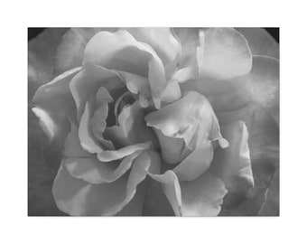 Double Hearted Rose in black and white by SAY Canvas Gallery Wrap