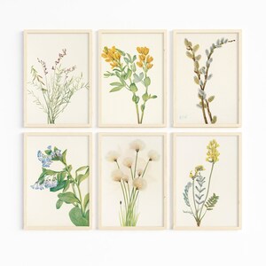 Boho Farmhouse Flower Prints, Set of 6, Vintage Flower Illustrations, Farmhouse Décor, Natural Art, Floral Prints, Boho Chic Flower Wall Art