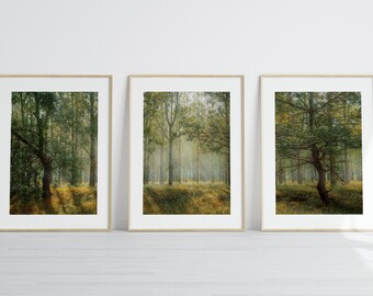 Sztuka ścienna „Las”, zestaw 3 wydruków „Mglisty las”, wydruków fotograficznych „Las”, sztuki „Mglisty las”