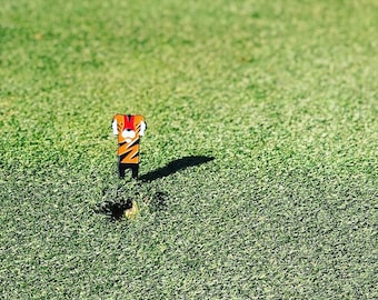Gepersonaliseerde golfsprinkler met balmarkering, op maat gegraveerd golfcadeau voor mannen, pitchreparatietool, vaderdaggolfaccessoire