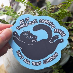 May include: A blue sticker with a black cat illustration. The cat is lying on its back with its paws up. The sticker has the text "AS IT TURNS OUT, COMMON SENSE ISN'T ALL THAT COMMON" in a circular design.