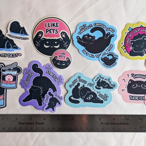May include: A selection of cat-themed stickers in various shapes and colours. The designs feature black cats with phrases such as "I Like Pets" and "Doing My Best." A stainless steel ruler is included for scale.