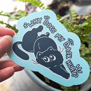 May include: A light blue sticker featuring the text "WHY DOES MY BACK HURT?" and a black cat illustration. The cat is lying on its back. The sticker is set against a blurred backdrop of green foliage.