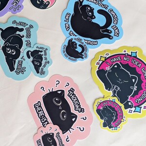May include: A selection of cat-themed stickers in different shapes and sizes. The stickers feature black cat illustrations with phrases such as "I like pets," "As it turns out, common sense isn't all that common," and "There is none."