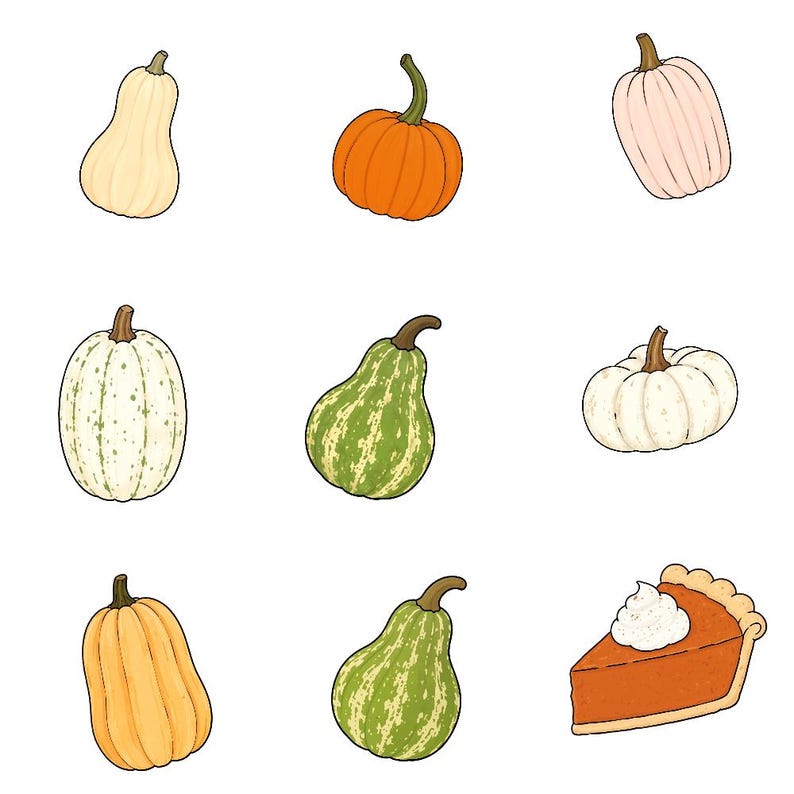 May include: A collection of digital illustrations featuring various pumpkins including a beige butternut squash, a round orange pumpkin, a pale pink pumpkin, a white speckled pumpkin, two green striped gourds, a yellow pumpkin, and a slice of pumpkin pie.