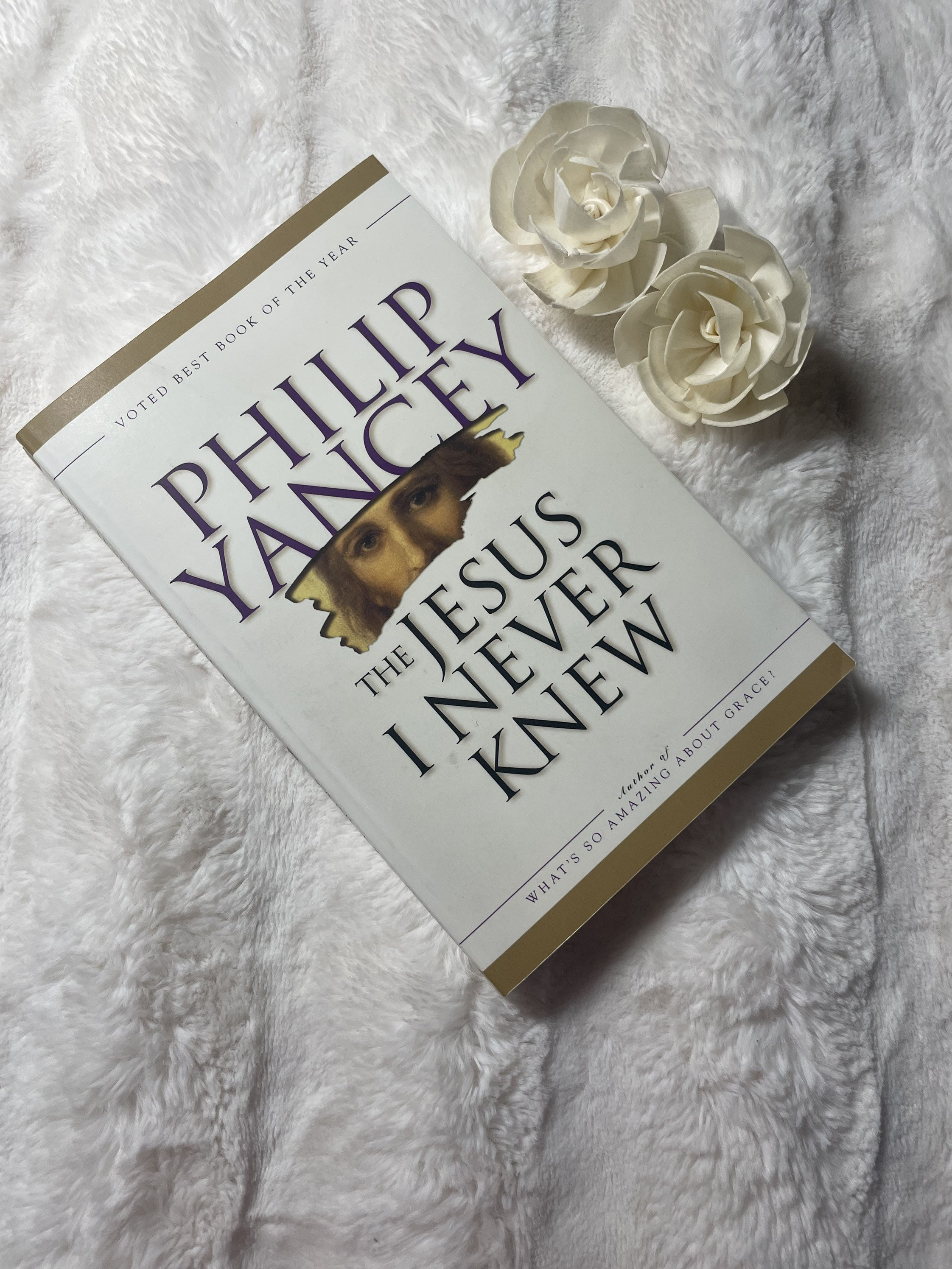 The Jesus I Never Knew by Philip Yancey. Etsy