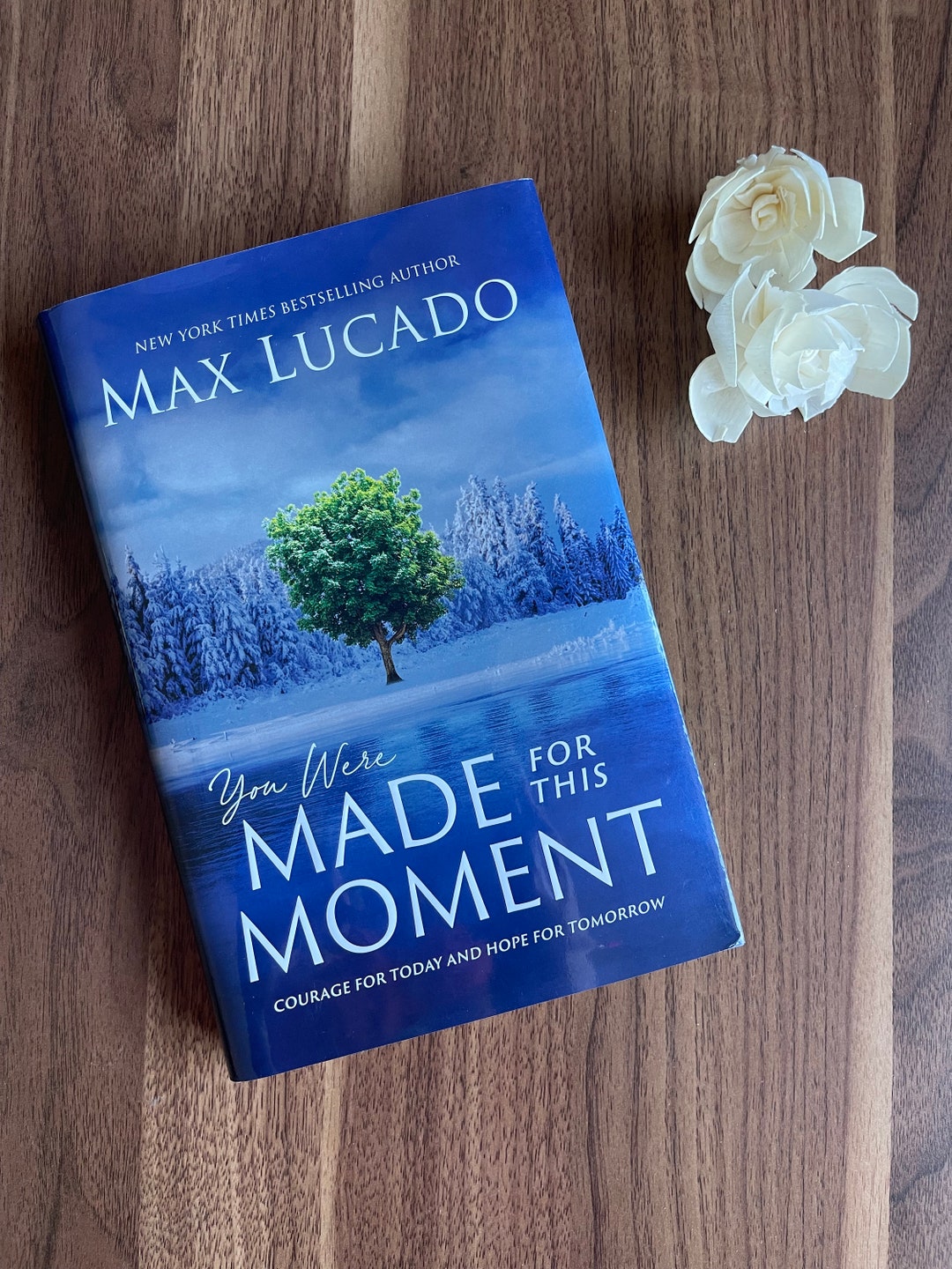 You Were Made for This Moment by Max Lucado, Christian