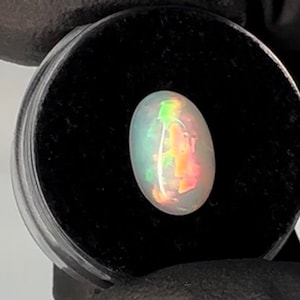 Puede incluir: Una piedra preciosa de ópalo ovalada blanca con colores arcoíris iridiscentes, colocada en una caja de exposición de terciopelo negro.