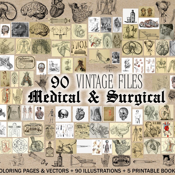 Vintage Medical Anatomy Illustration R18 Adult Coloring Page Clipart Victorian Printable Wall Art Anatomical Dentistry A4 PDF JPG SVG Vector