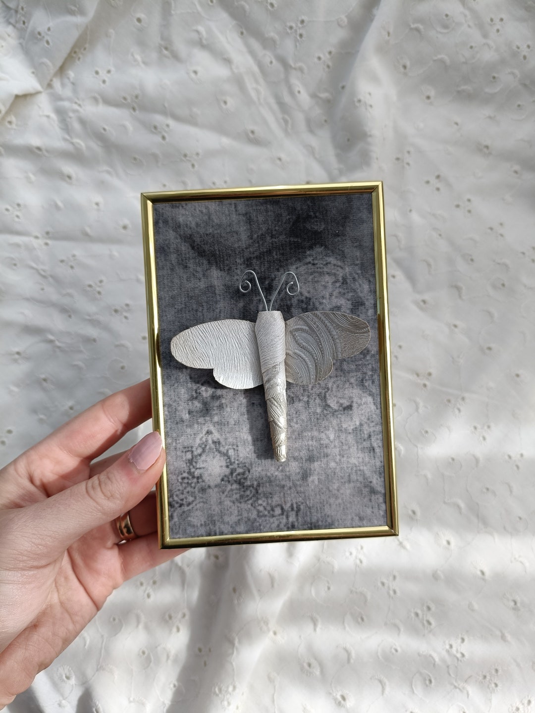 Paper Butterfly Faux Taxidermy Clearance Sale NZ Oddity Alt Decor ...
