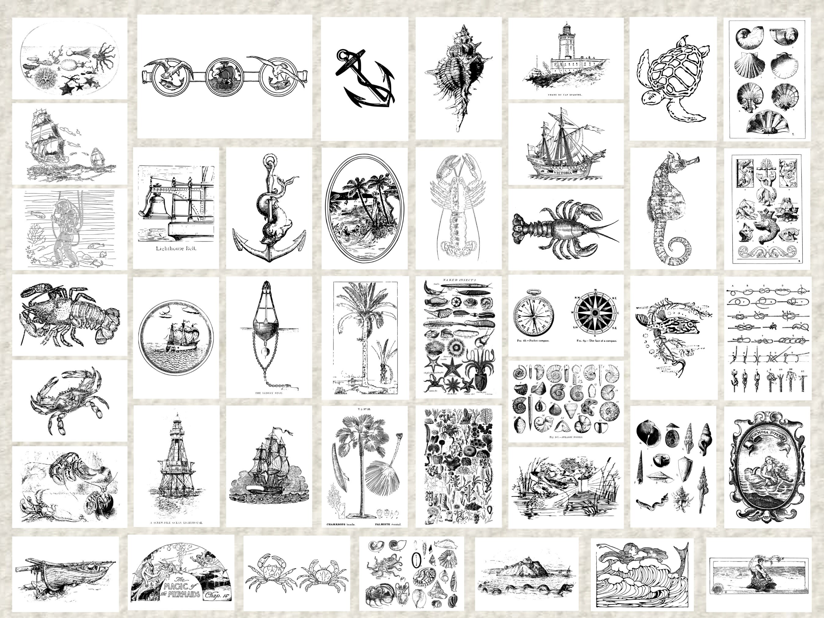 Nautical & Ocean Coloring Pages Vintage Oceancore Illustrations ...