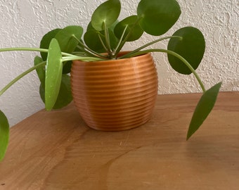 3D Printed Planter Pot