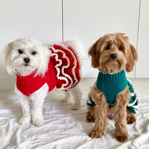 CROCHET PATTERN Lottie and Lulus Christmas Tutu Crochet Dog - Etsy