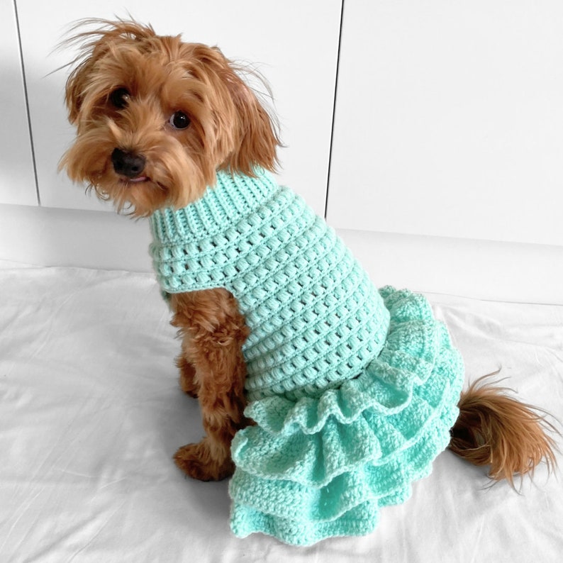 MOTIF au crochet, pull pour chien au crochet tutu au point soufflé de Lottie et Lulu, modèle de pull pour chien au crochet, robe pour chien au crochet, pull pour animaux de compagnie au crochet image 4