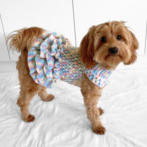 PATRÓN de ganchillo, jersey de perro de crochet con tutú de punto puff de Lottie y Lulu, patrón de suéter de perro de crochet, vestido de perro de crochet, suéter de mascota de crochet imagen 10