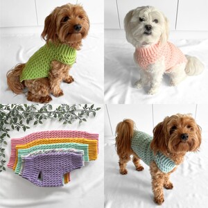 Toy poodle coats cheap